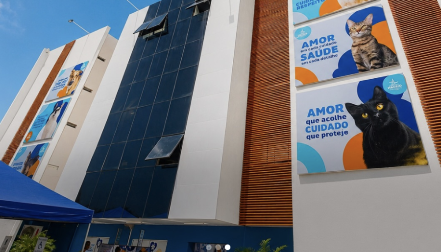 Hospital veterinário público começa a funcionar em Maceió