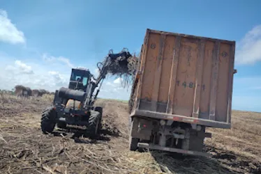 Menor em 5 anos, ATR de janeiro cai 6,7% e agrava crise da cana em AL