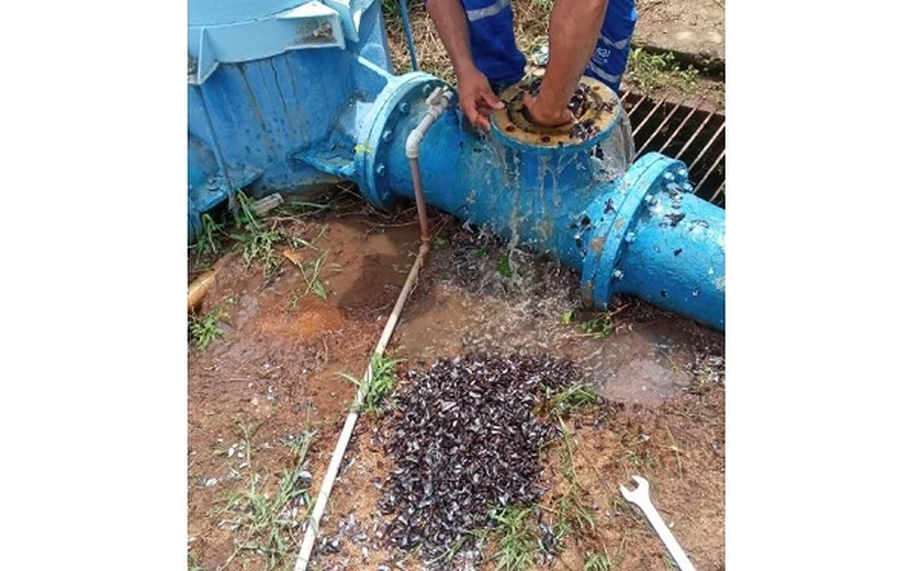 Manutenção pode afetar fornecimento de água em 19 municípios na quinta (06)