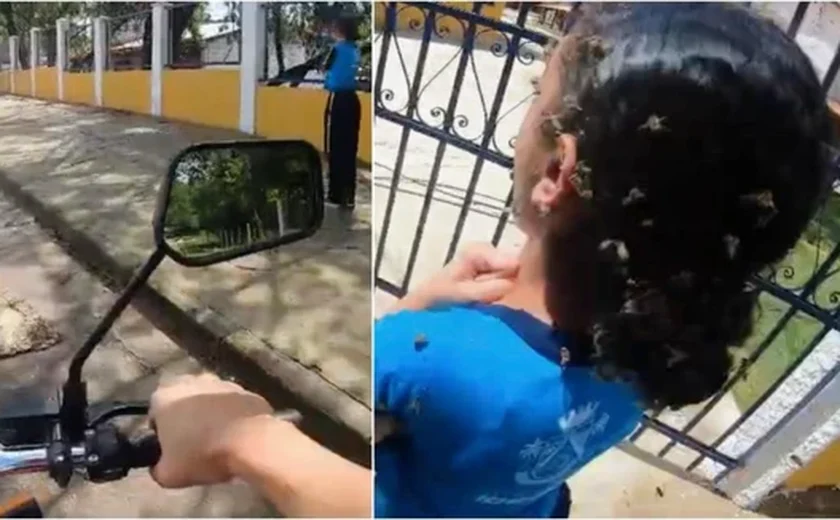 Motoboy enfrenta enxame de abelhas e salva menina de 12 anos em Minas Gerais