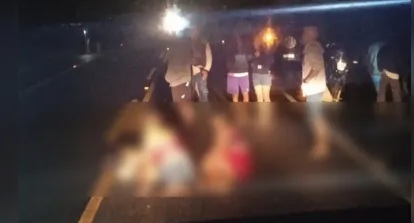 Colisão fatal na AL-115 termina com motorista preso após fuga