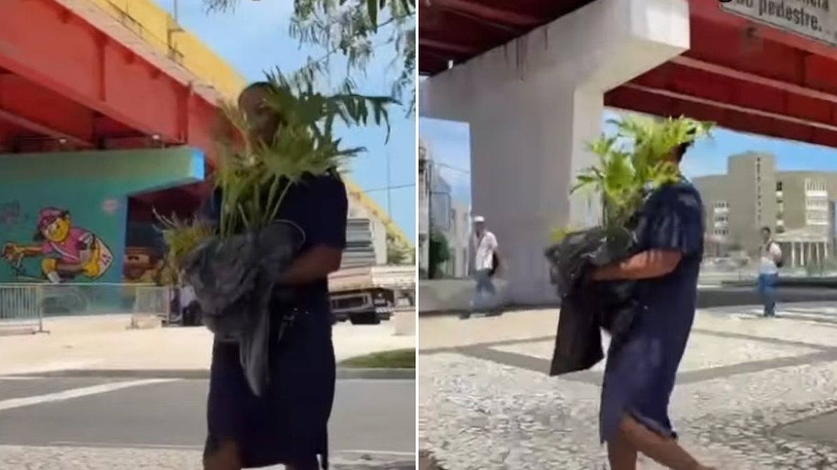 'Eu não roubei, eu ganhei': mulher filmada com planta do Salgadinho quebra o silêncio