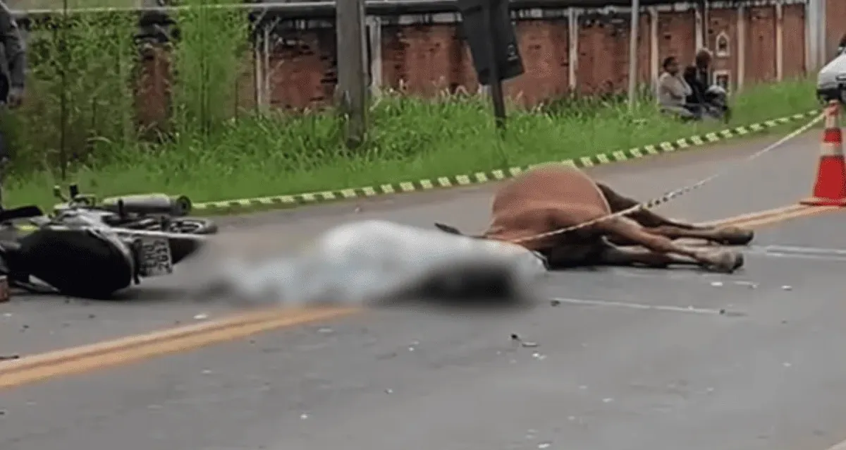 Após bater moto contra cavalo mulher morre asfixiada com capacete
