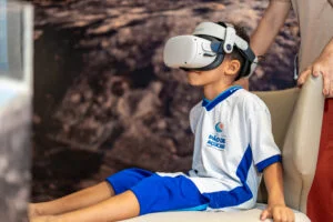 Pão de Açúcar recebe a 19ª Primavera dos Museus com foco em mudanças climáticas