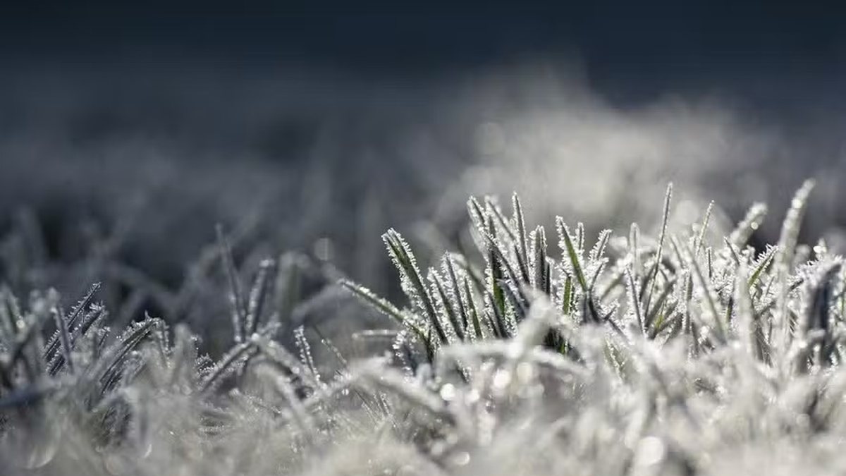 Onda polar chega com frio extremo e possibilidade de neve no Brasil
