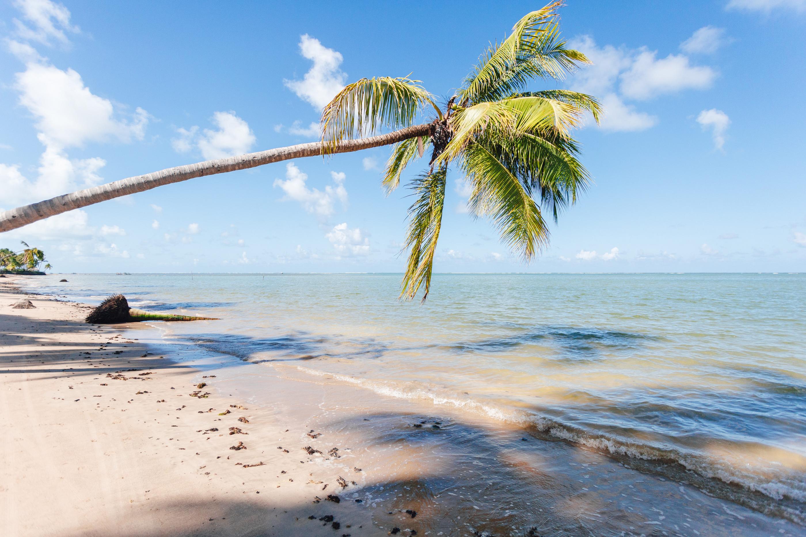 Alagoas brilha em prêmio nacional e disputa topo do turismo