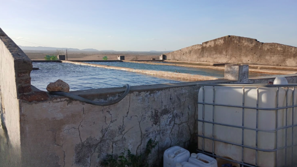 Fraude em Belo Monte desviava 146 mil litros de água; saiba mais