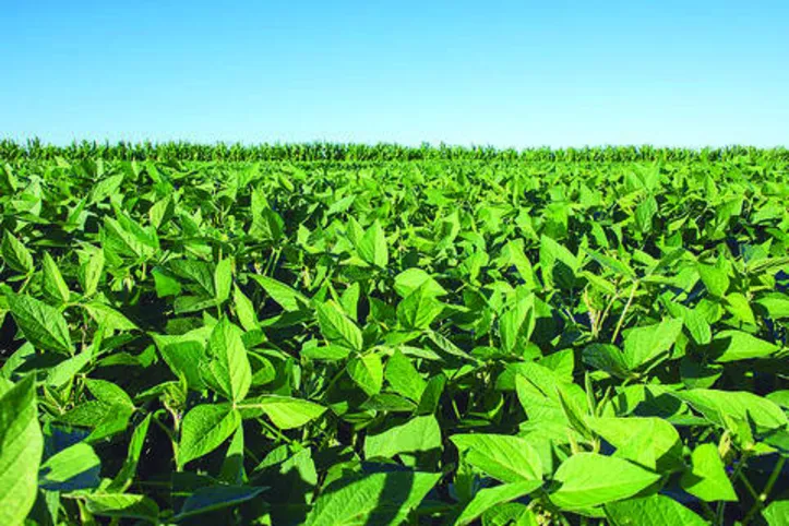 IBGE divulga agenda da semana com reunião do Censo Agro em Alagoas
