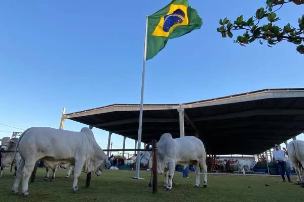 Parque da Pecuária inicia recepção dos animais para a 75ª Expoagro Alagoas nesta segunda (20)
