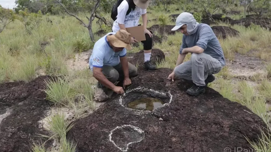 Pesquisadores encontram pegadas de dinossauros com mais de 100 milhões de anos em Roraima