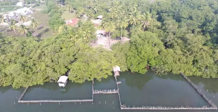 Substâncias tóxicas são encontradas no Rio Tatuamunha após morte de peixes-boi