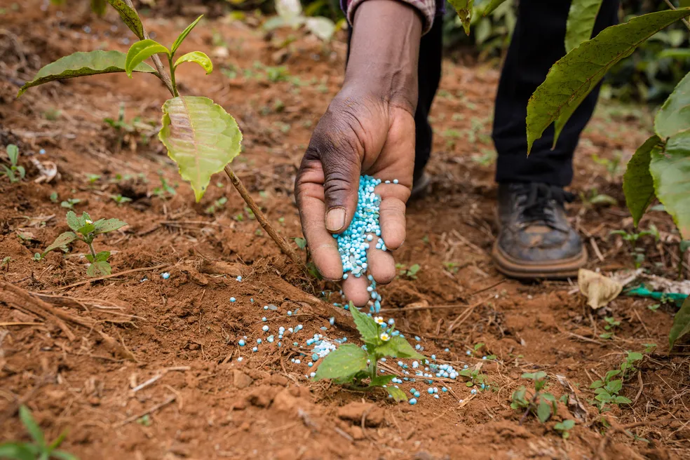 Alta dos fertilizantes ameaça produção agrícola do Brasil em 2027