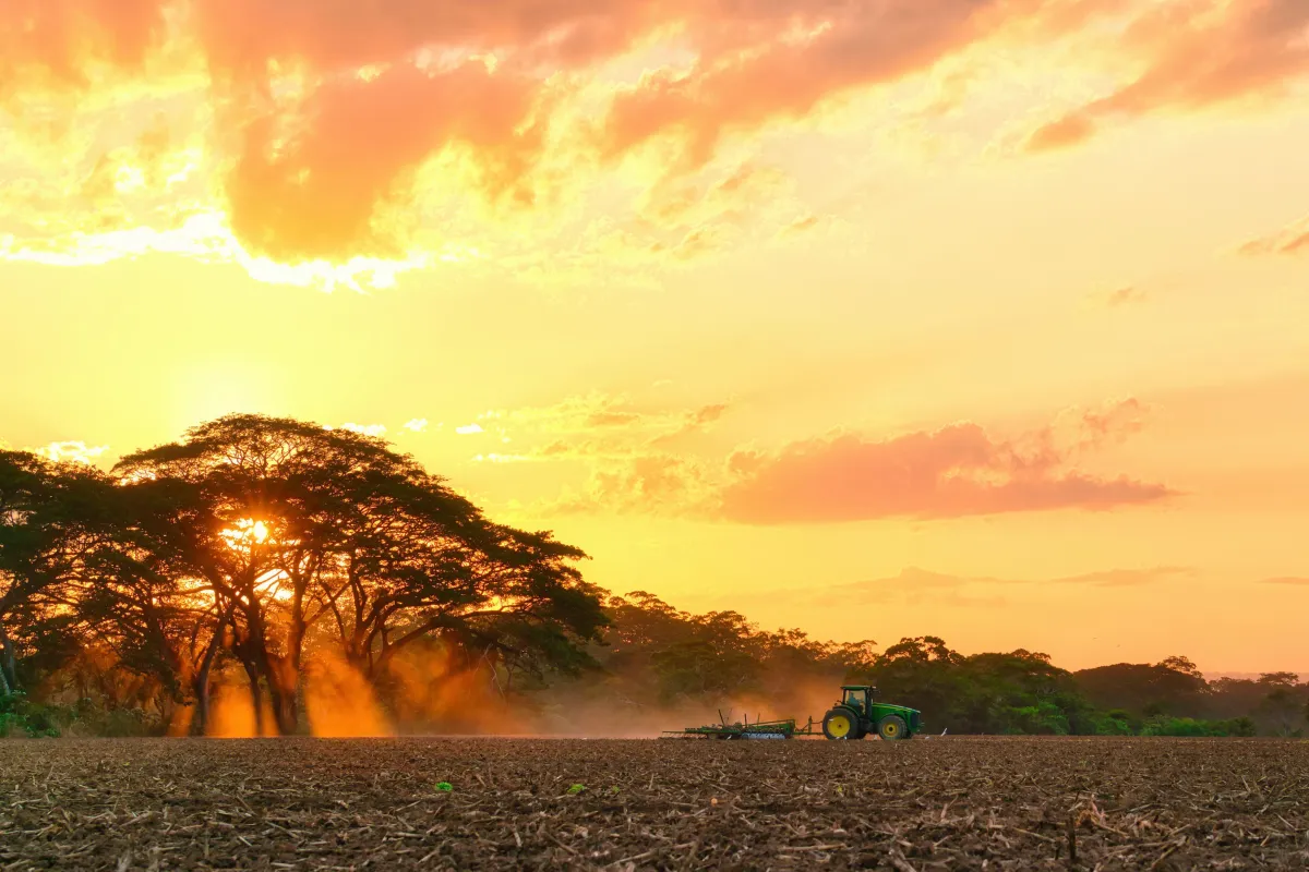 Agro pode movimentar R$ 3,5 bilhões com créditos de carbono até 2035