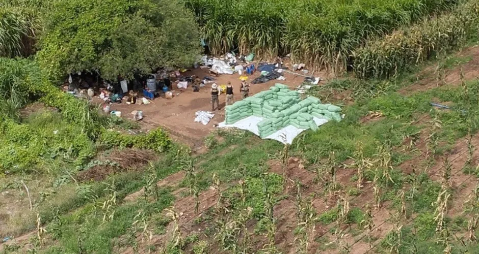 PF apreende duas toneladas de maconha em operação na divisa AL-BA