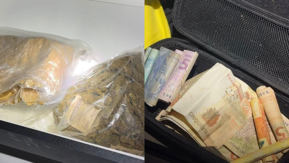Encomendas de maconha por correios tinham Alagoas entre os destinos, diz PF