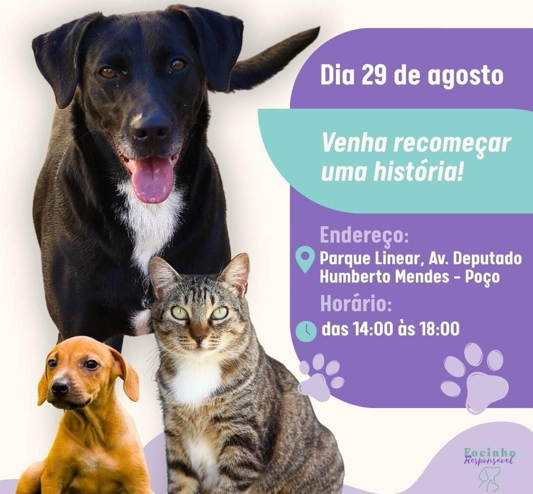 Bairro do Poço recebe feira de adoção de animais neste sábado