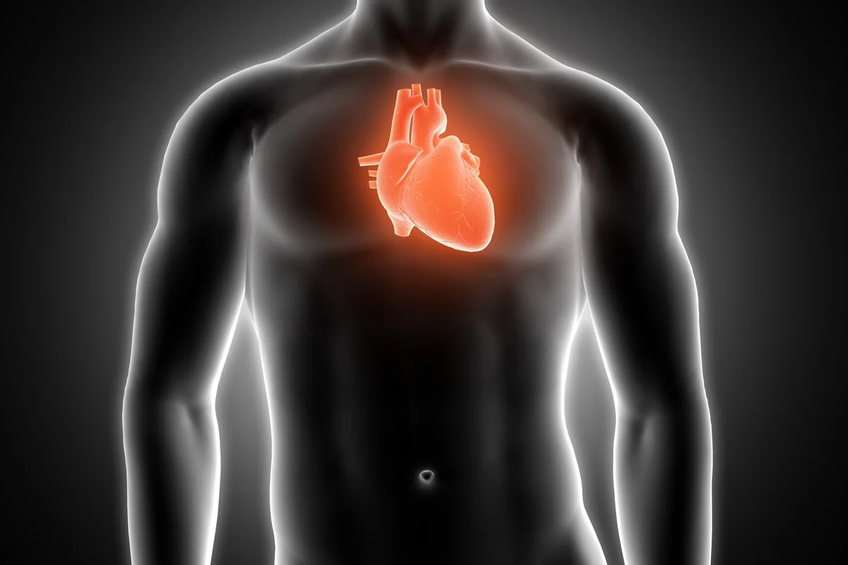 Estudo detecta microplásticos no sangue de vítimas de infarto