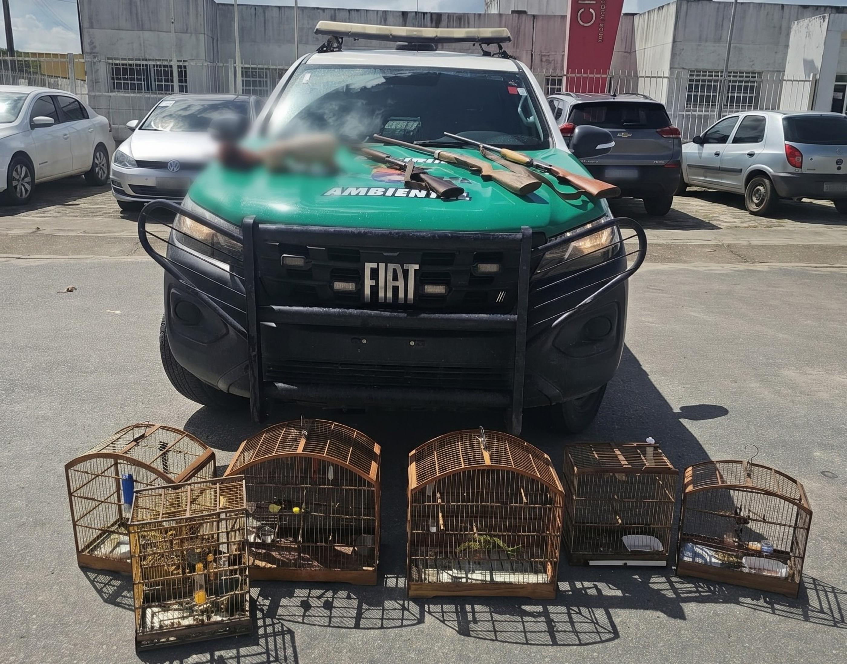 PM-AL apreende animais silvestres e armas em operação no Litoral Norte