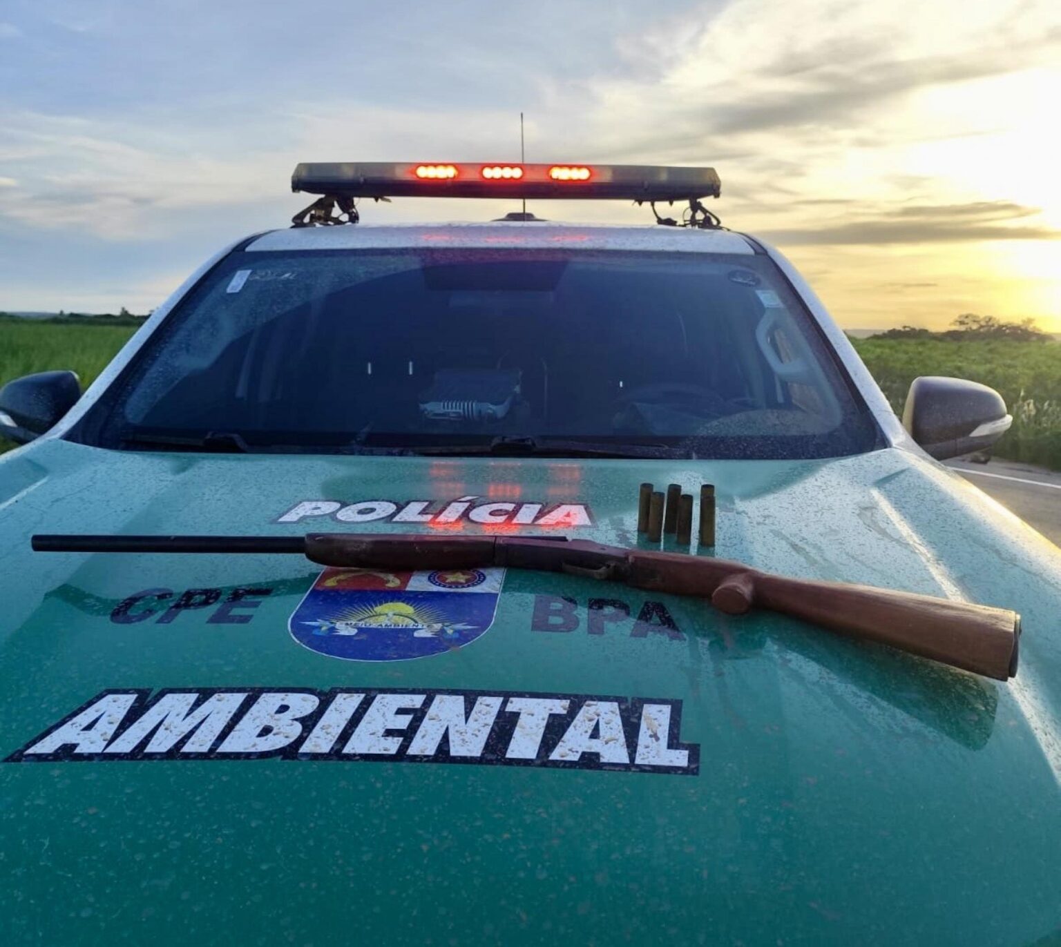 PM-AL apreende espingarda, aves e redes ilegais em operações ambientais