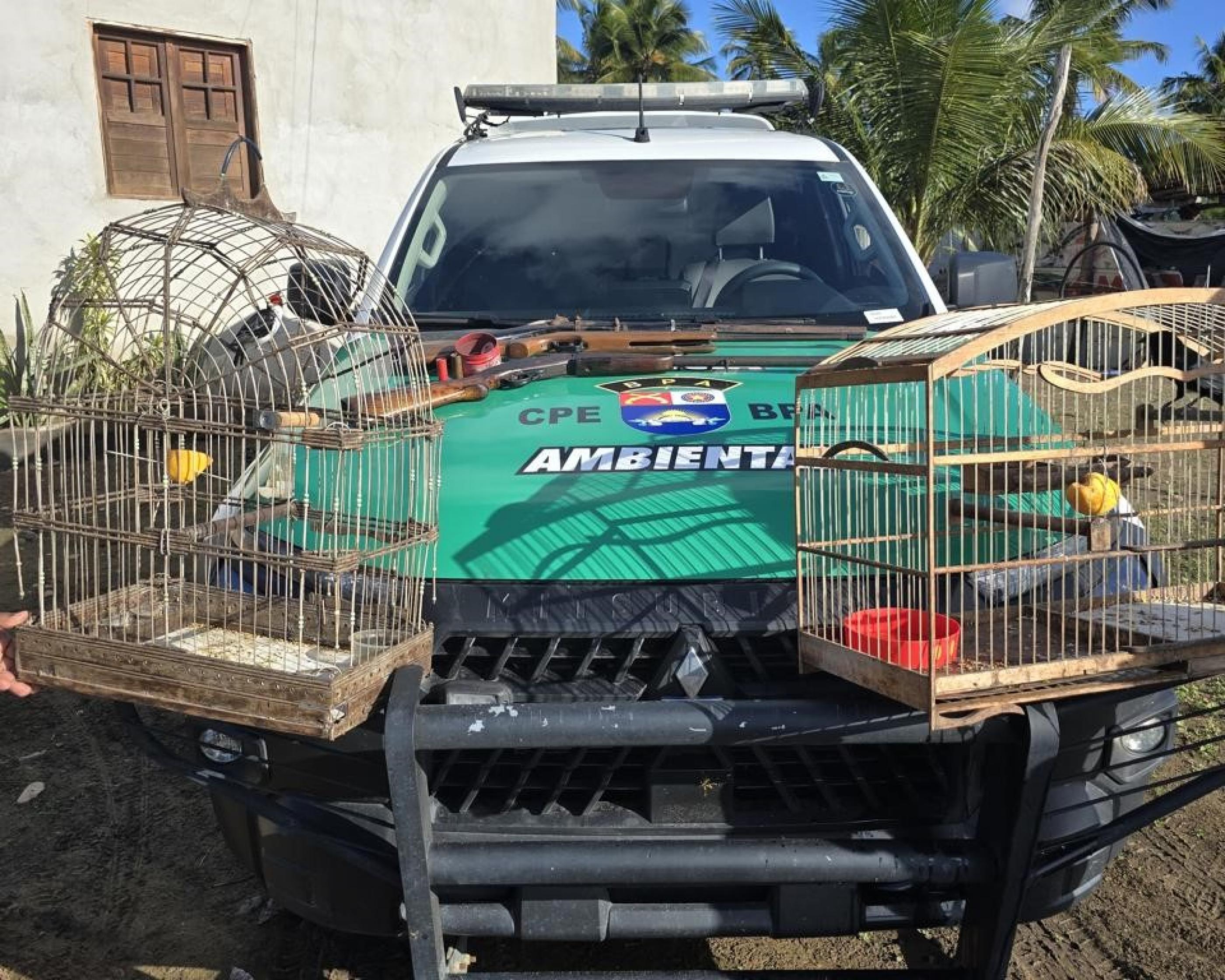 Três espingardas foram apreendidas e duas aves silvestres resgatadas durante fiscalização no interior de Alagoas