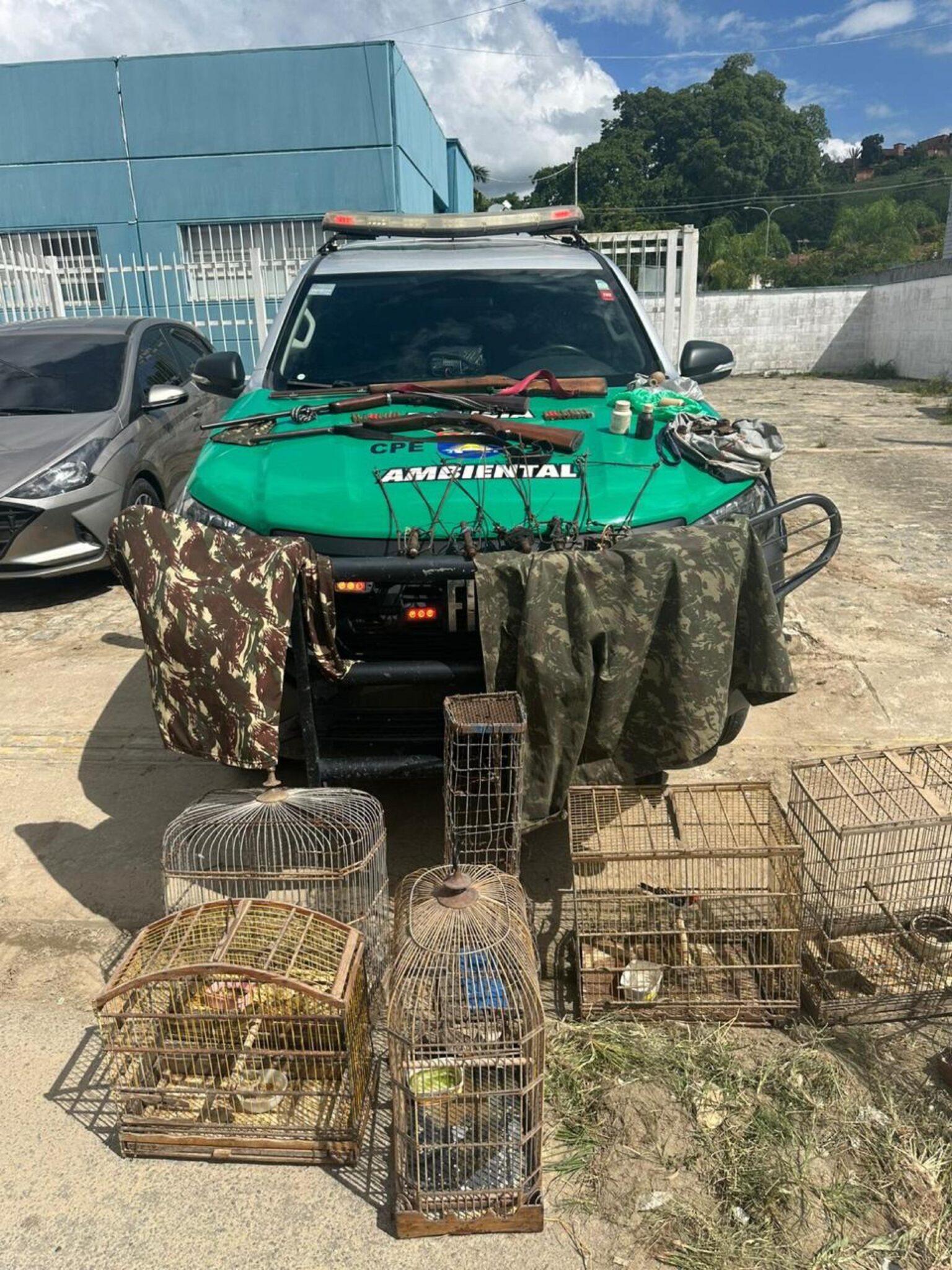 PM apreende armas e pássaros silvestres em ações ambientais em Alagoas