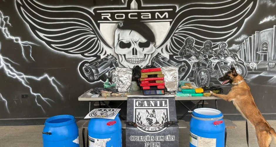 Polícia Militar apreende quase 20 kg de drogas no interior de Alagoas