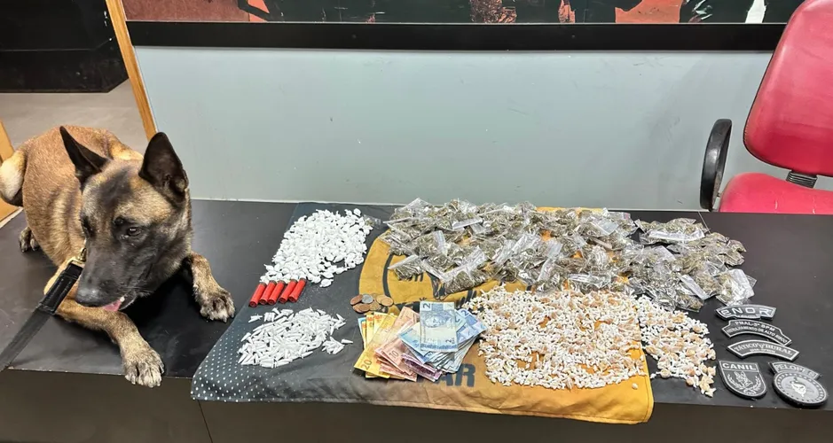 PM apreende quase 50 kg de drogas e 25 armas em uma semana em Alagoas