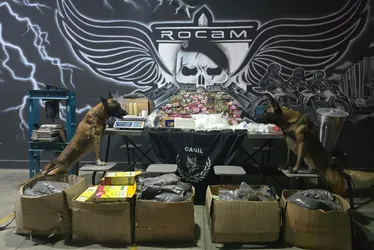Casa abandonada vira depósito de drogas e polícia apreende mais de 50 kg em Arapiraca
