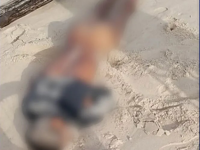 Polícia apura morte de homem encontrado seminu em praia do litoral sul