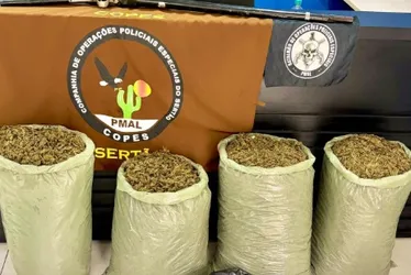 Homem abandona quase 32 kg de maconha e foge da polícia em Pariconha