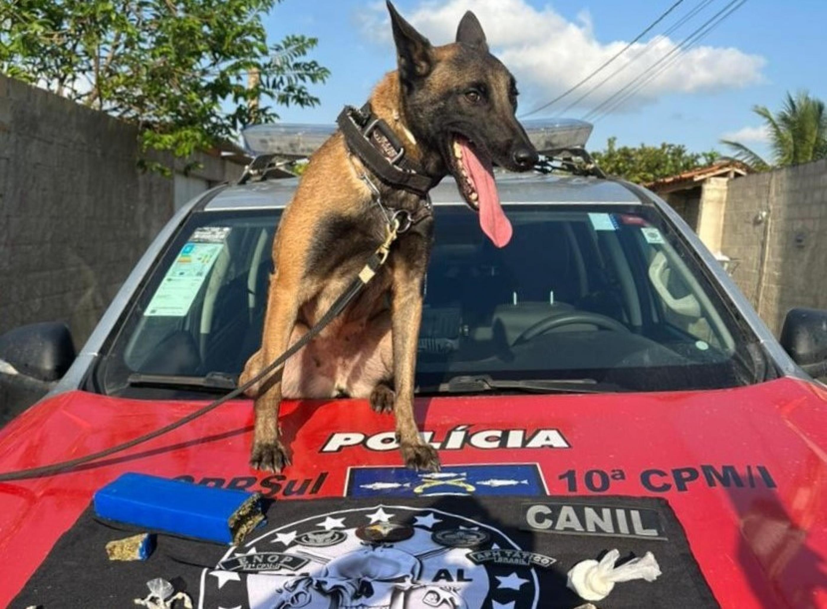 Polícia Militar prende dois por tráfico e cumpre mandado judicial no Litoral Sul de Alagoas
