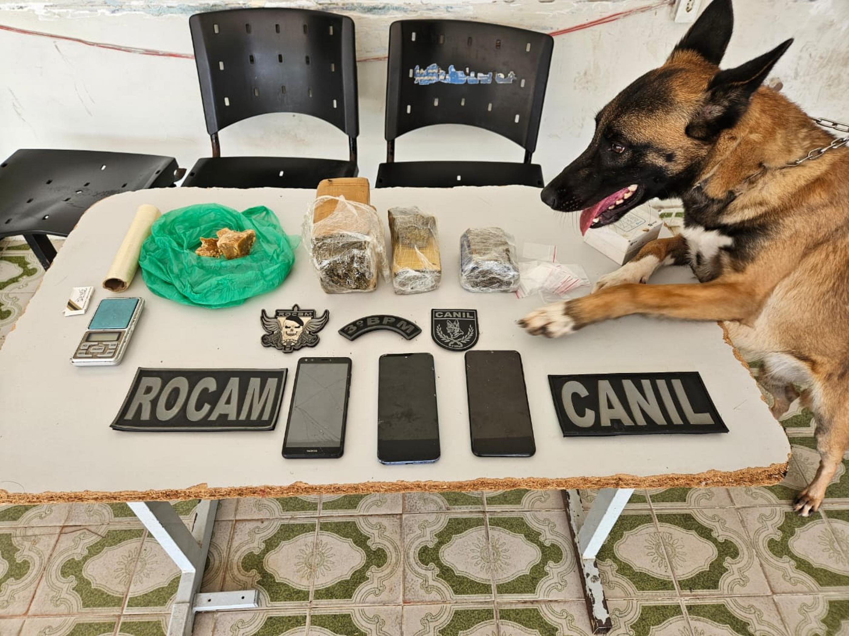 Polícia Militar flagra tráfico de drogas durante ações em Maragogi e Arapiraca