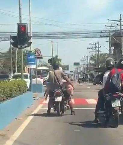 Homens são flagrados levando porco vivo em moto em Belford Roxo