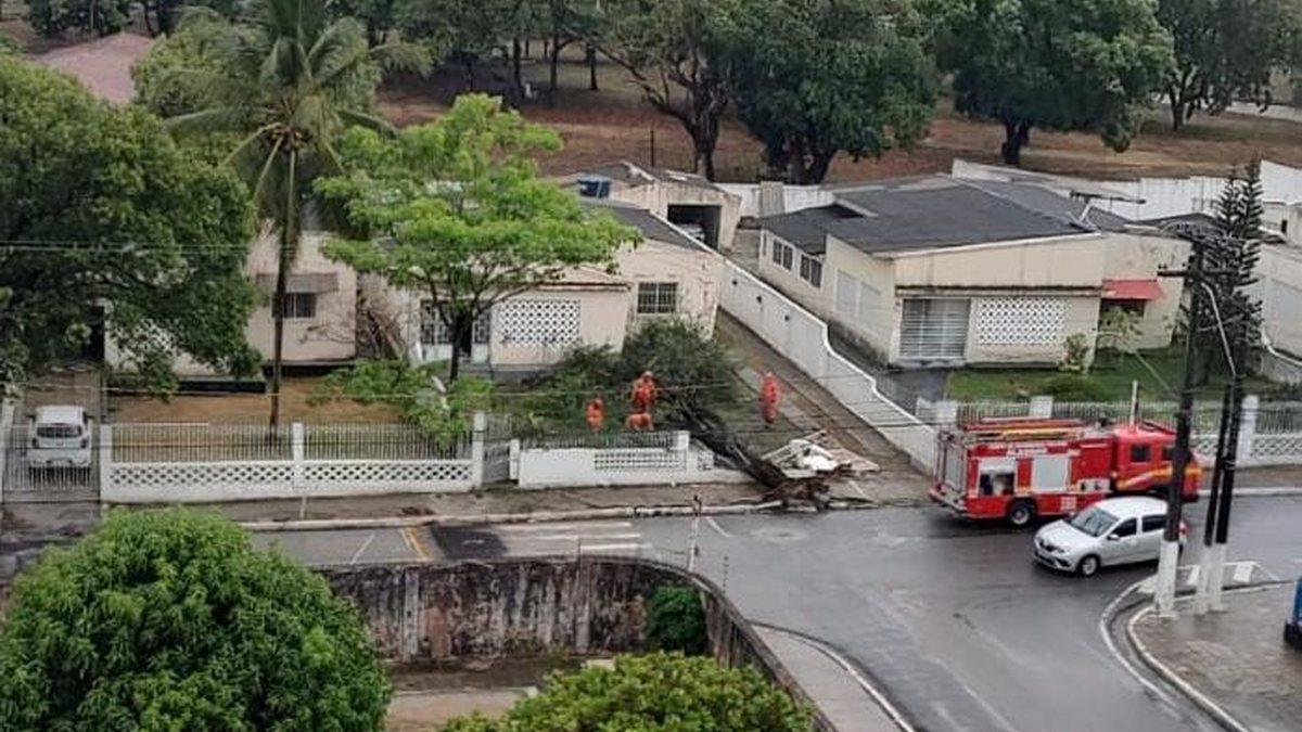 Chuva e ventania derrubam árvore e muro de casa em Maceió