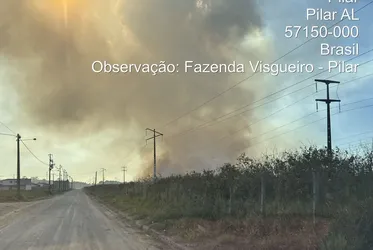 Queimadas criminosas avançam e desafiam ações de prevenção em Alagoas