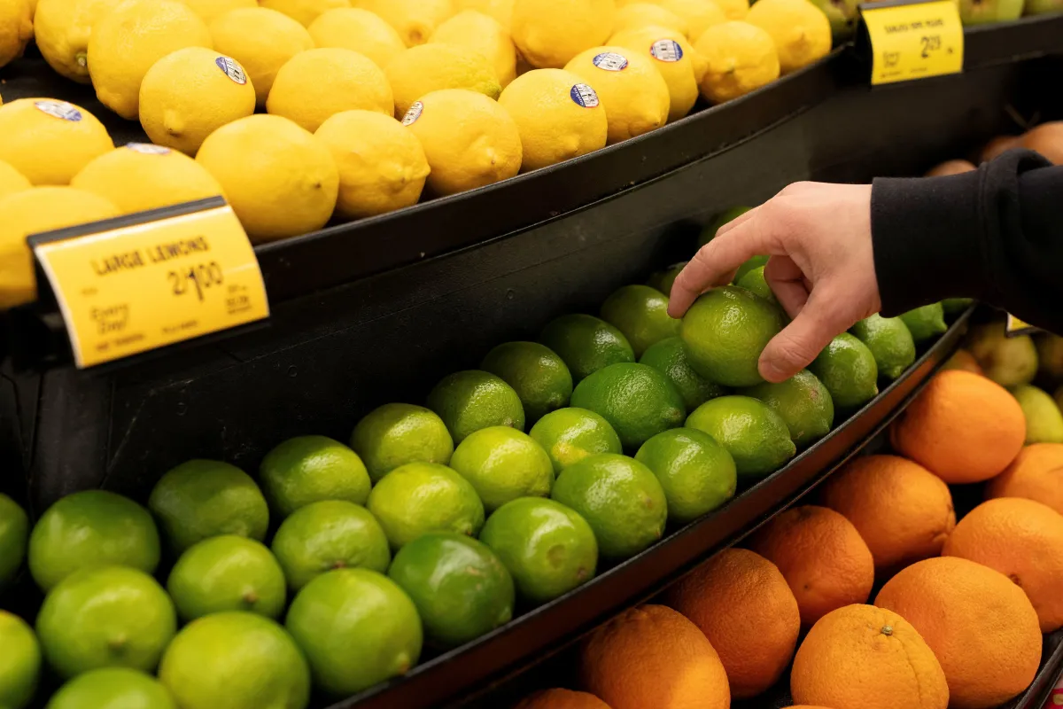 Com foco na China e nos EUA, fruticultura brasileira busca expansão internacional
