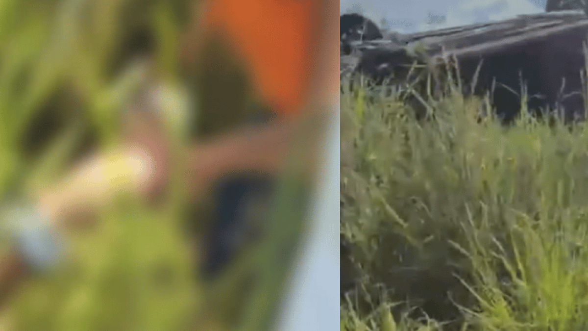 Motorista morre ao ser arremessado durante capotamento na BR-316
