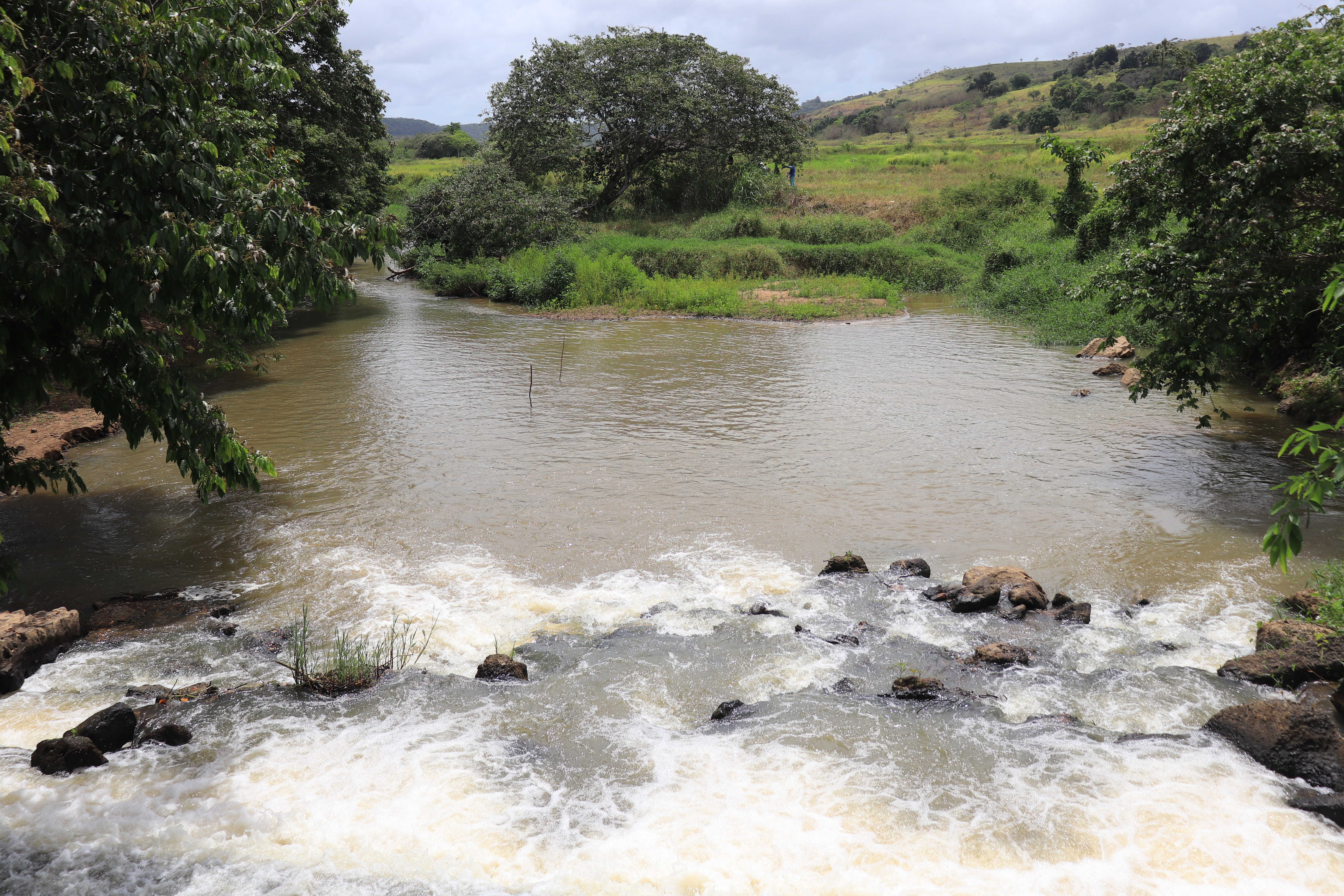 Preservação ambiental e sustentabilidade: o compromisso do setor sucroenergético de Alagoas