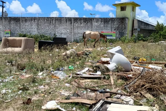 MPAL identifica lixo, entulho e ocupações irregulares em terreno do Estado no Tabuleiro