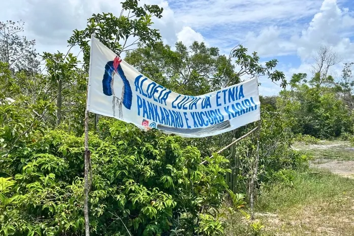Indígenas Pankararu recorrem à Justiça para garantir território e serviços em Penedo