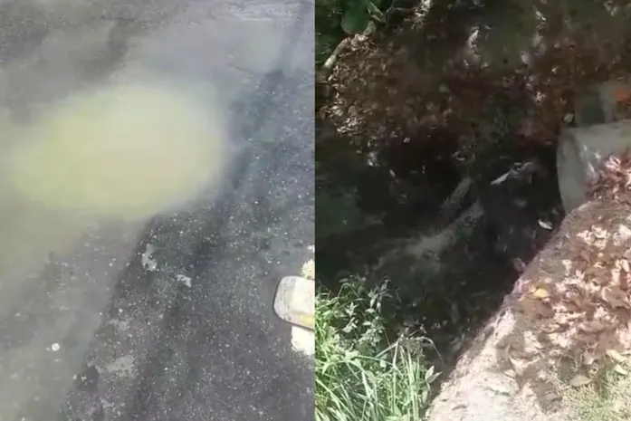 “O rio está praticamente morto”, diz morador ao denunciar despejo contínuo de esgoto em Jacarecica