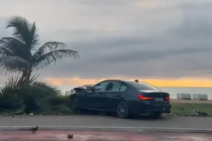 Motorista invade calçada e derruba coqueiro na orla de Maceió