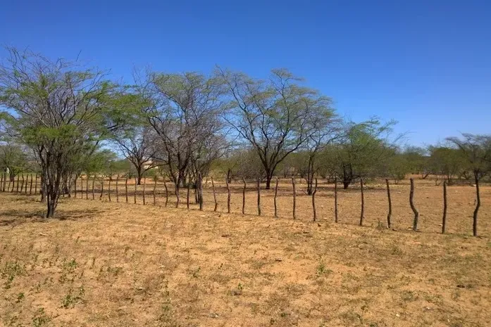 Seca faz três cidades alagoanas entrarem em situação de emergência; veja