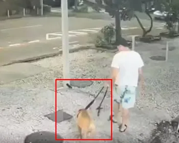 Homem vira réu após ser filmado afogando o próprio cão em Copacabana