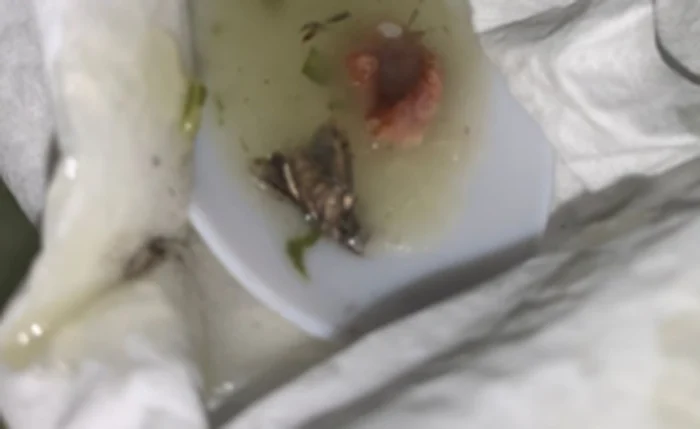 Ufal investiga relatos de vidro e barata encontrados em refeições do RU