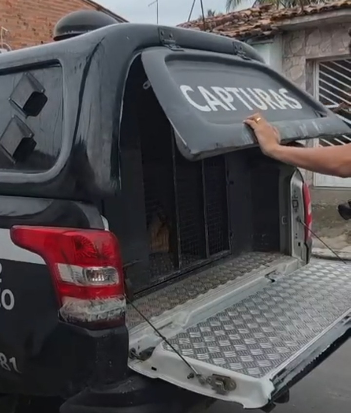 SSP deflagra Operação Morro do Alemão contra integrantes do Comando Vermelho