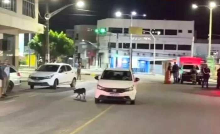 'Tinha um futuro brilhante', diz delegado sobre policial morto por colega em Delmiro Gouveia