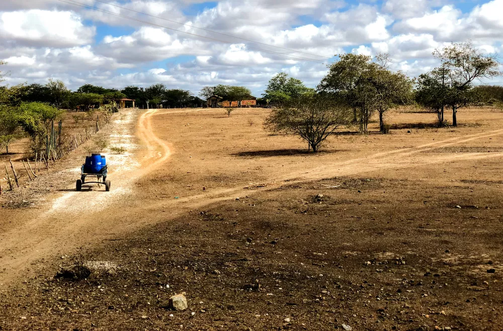 Seca atinge 75 municípios de Alagoas e provoca impactos na agricultura familiar