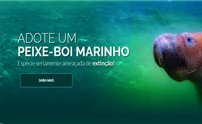 Turismo de observação de peixe-boi fortalece conservação em AL