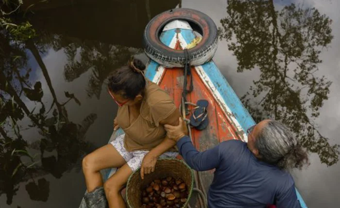 Natura cria startup para comercializar bioingredientes da Amazônia